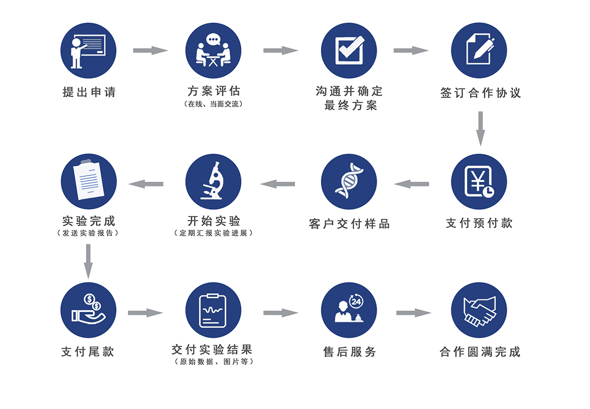 开云线上（中国）官方网站服务流程